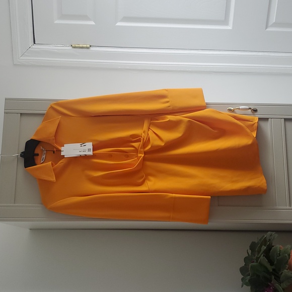 Zara Button Front Ruched Dress - Picture 2 of 6